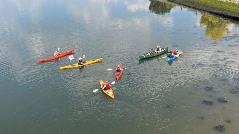 Protesters in the River Itchen